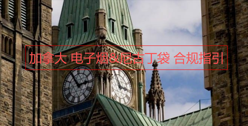 加拿大 电子烟&尼古丁袋 合规指引